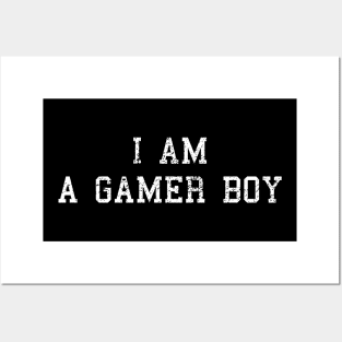 I'm a gamer boy Posters and Art